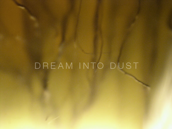 dreamintro